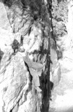 CoalbedCanEarl