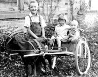 Goat-Cart-with-Load-of-Kids