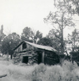 HomesteadChickenCoop