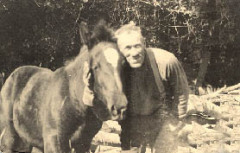 Jens-Horse