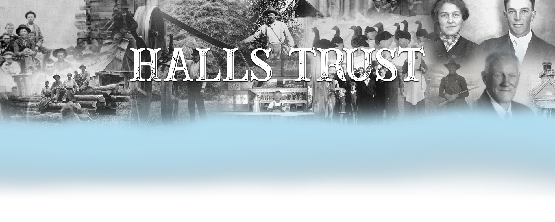 Halls Trust Organization